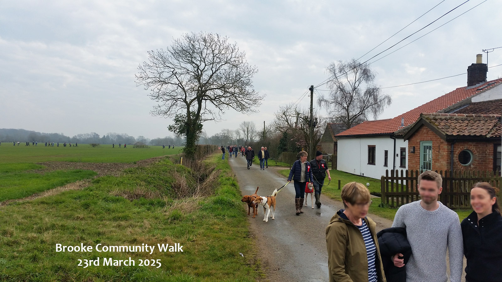 South Norfolk countryside